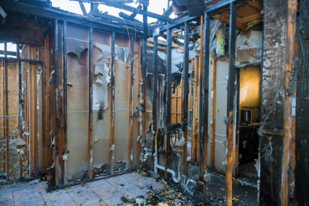Professional Fire Damage Removal technician working in Peoria, AZ